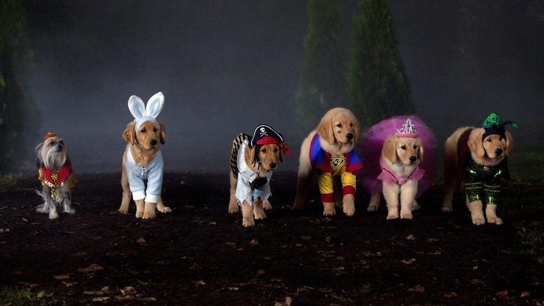 Spooky Buddies image