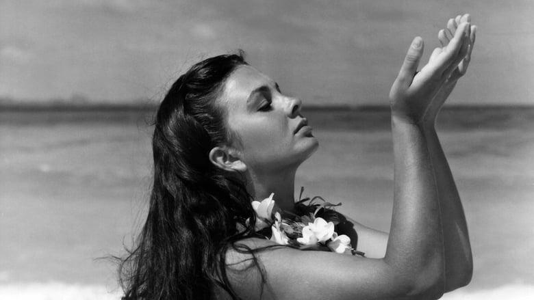 The Blue Lagoon image