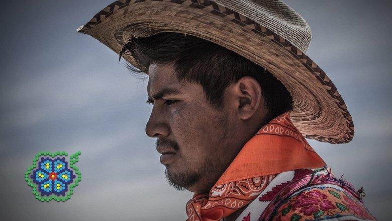 Huicholes: The Last Peyote Guardians image