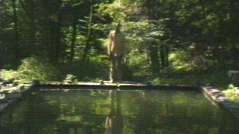 The Reflecting Pool image