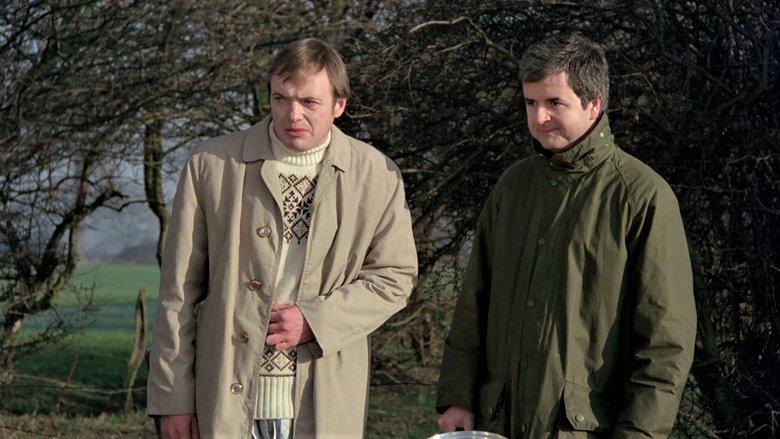 The Likely Lads image