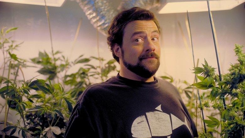 Hollyweed image