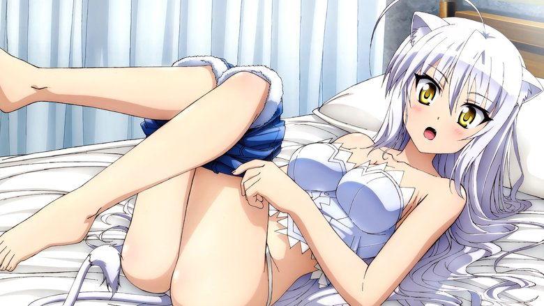 Dog Days image