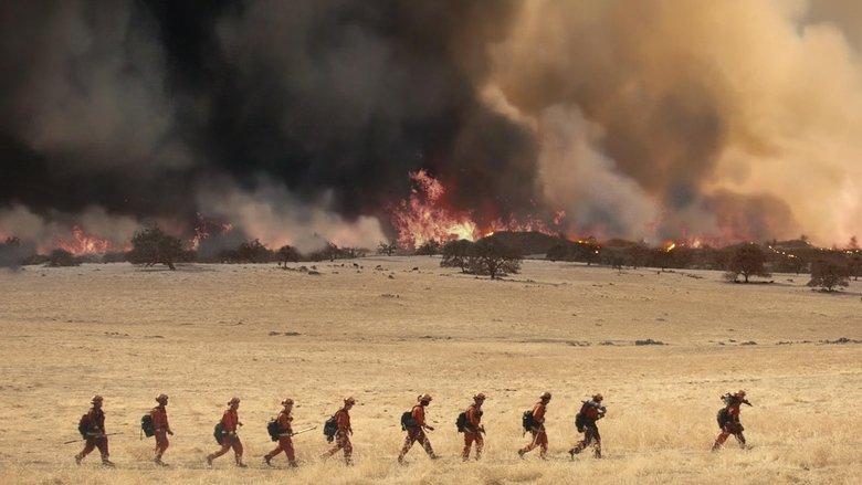 Fireboys image