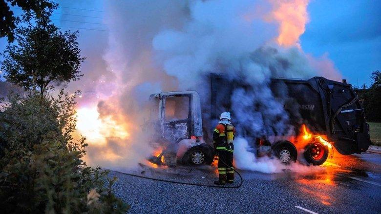 Forbrydelser der rystede Danmark image