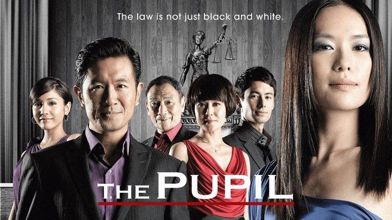 The Pupil image
