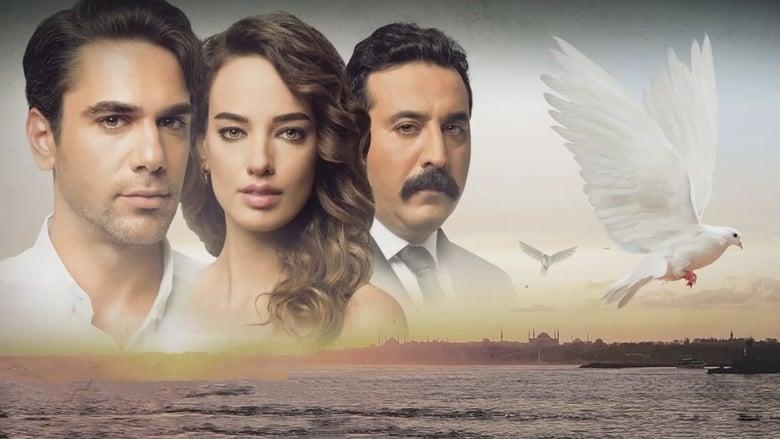 Wings of Love image