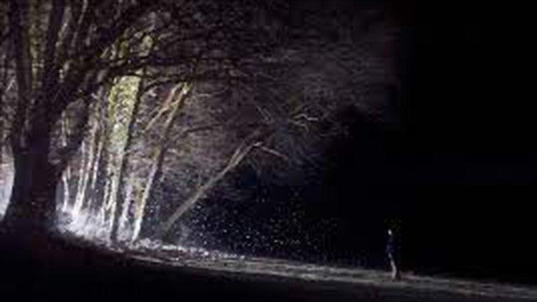 Particles image