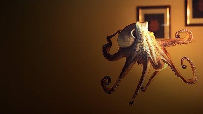 The Octopus in My House image
