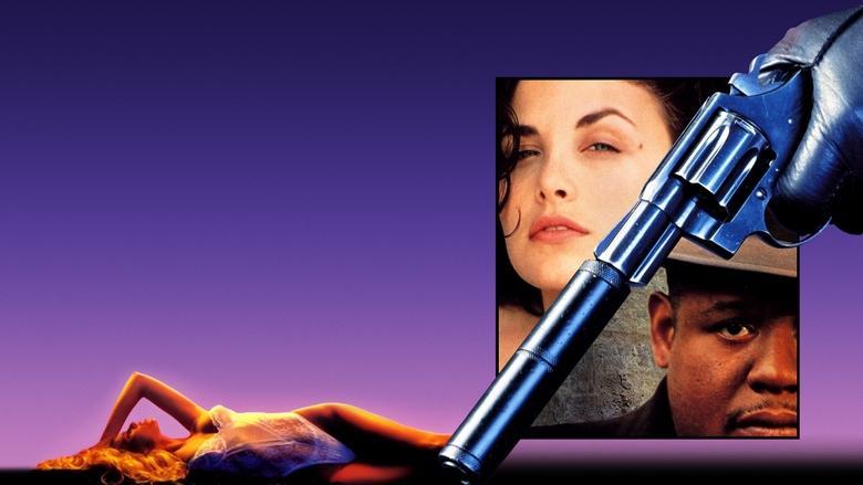 Diary of a Hitman image