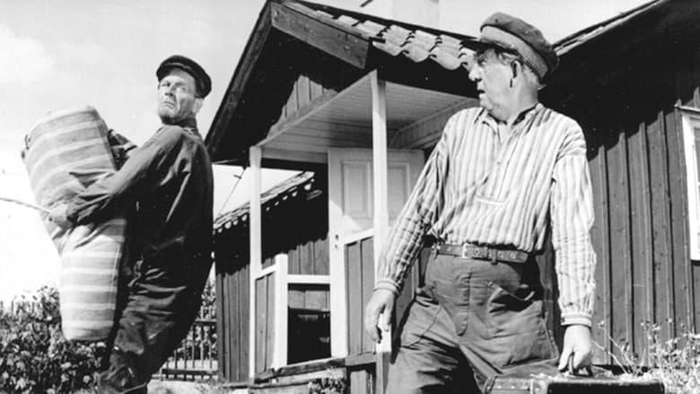 The bravado of the Österman brothers image