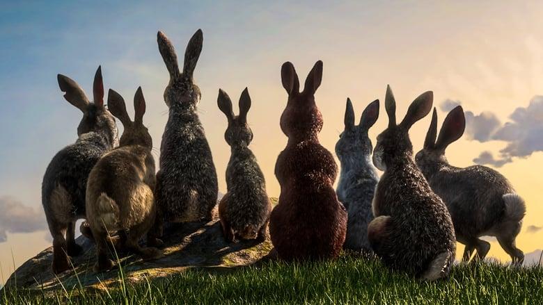 Watership Down image