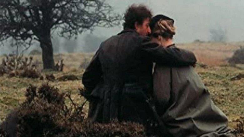 On the Black Hill image