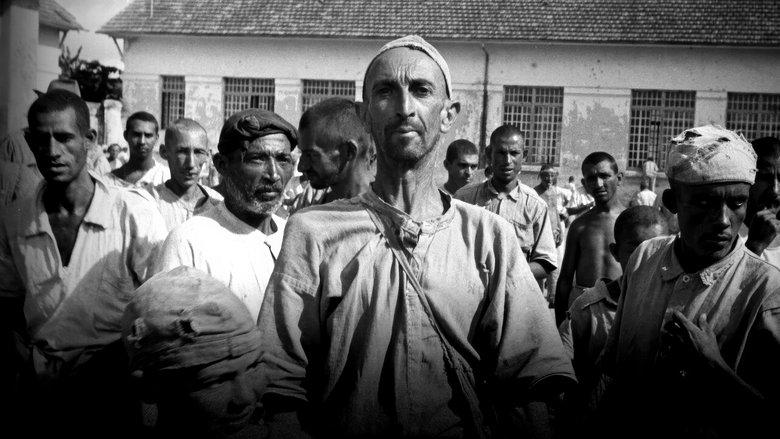 Brazilian Holocaust image