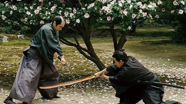 Falling Camellia image