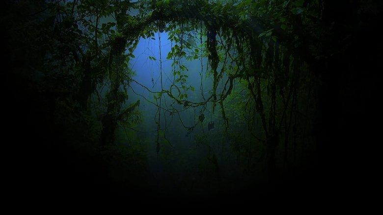 From Shock to Awe image