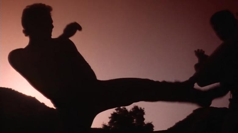 Savate image