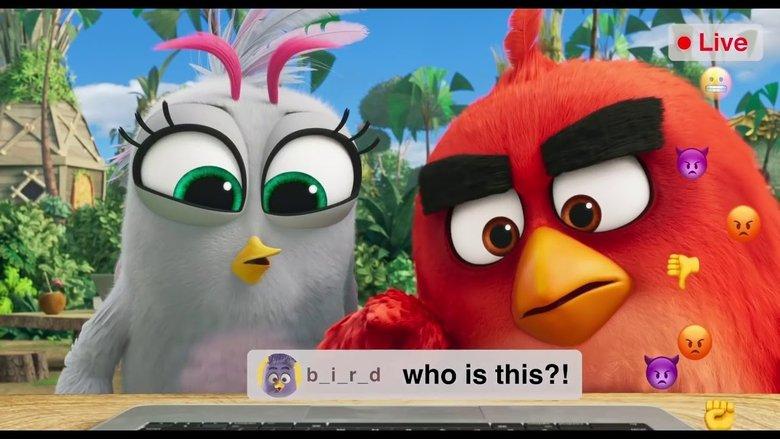 Angry Birds: Live Stream image