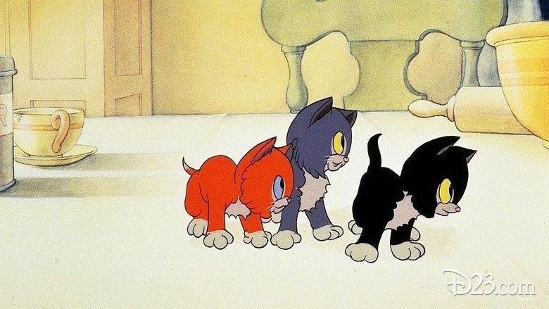 Three Orphan Kittens image