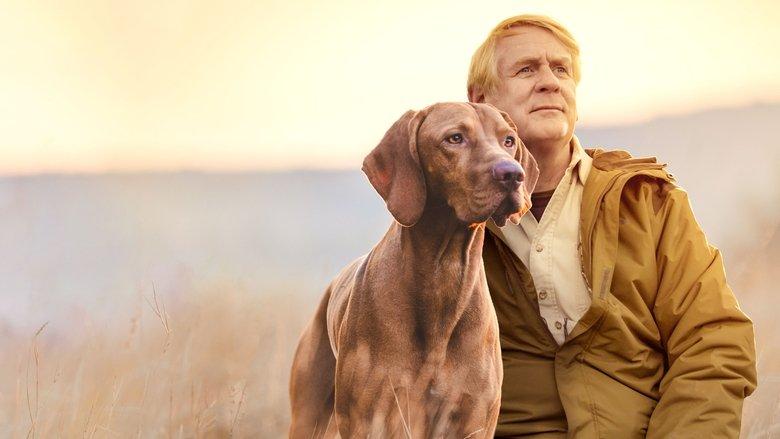 It's a Dog's Life with Bill Farmer image