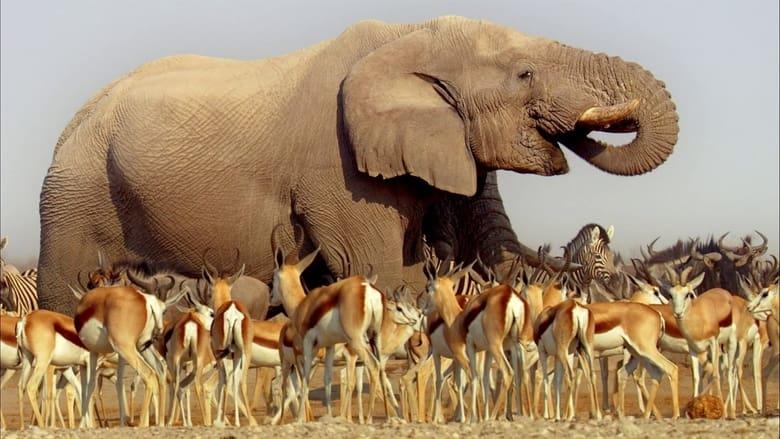 Africa image