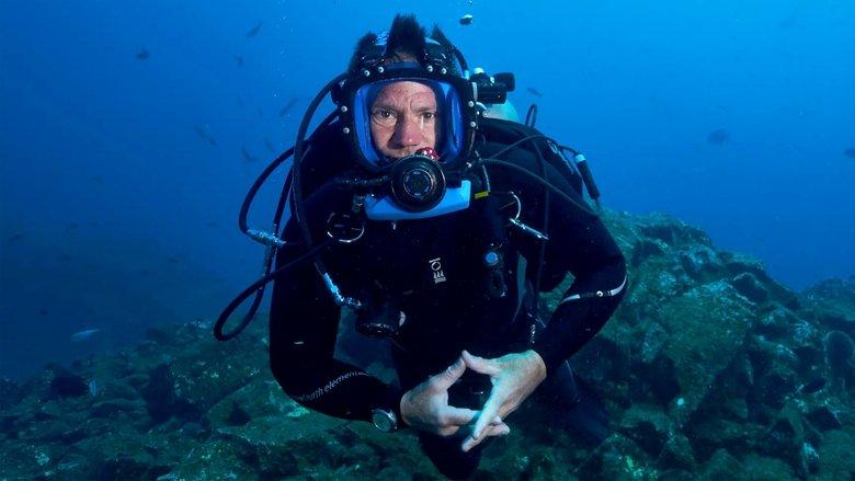 Shark with Steve Backshall image