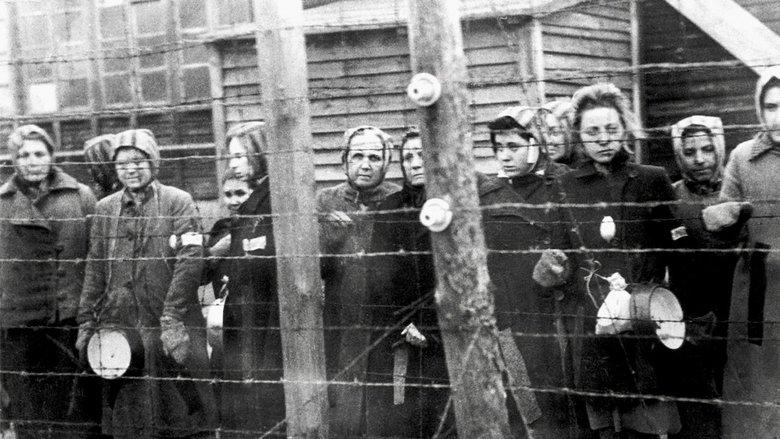 Ravensbrück: The forgotten camp image