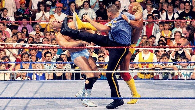 WWE SummerSlam 1990 image