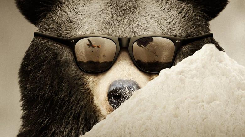 Cocaine Bear: The True Story image