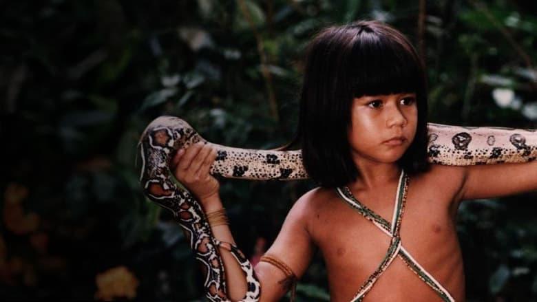 Tainá: An Amazon Adventure image