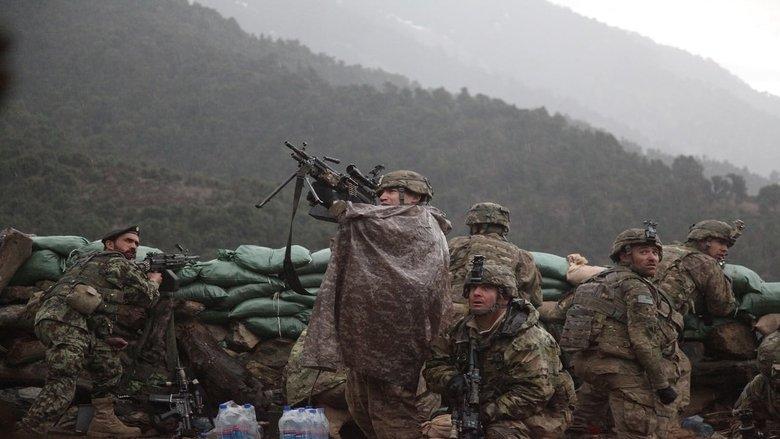 The Hornet's Nest image