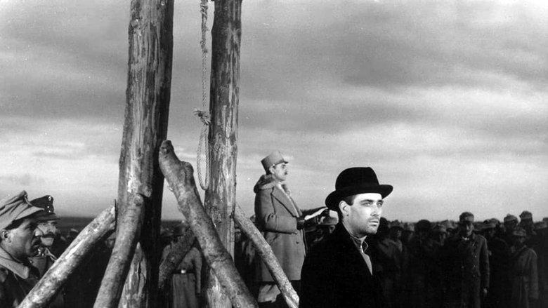 Forest of the Hanged image