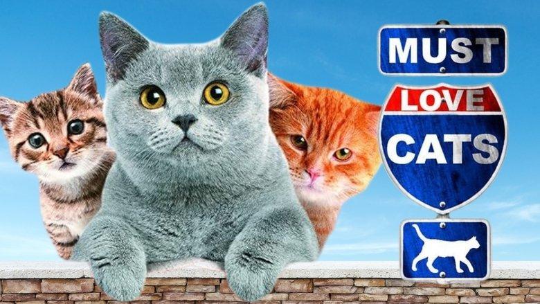 Animal Planet: Must Love Cats image