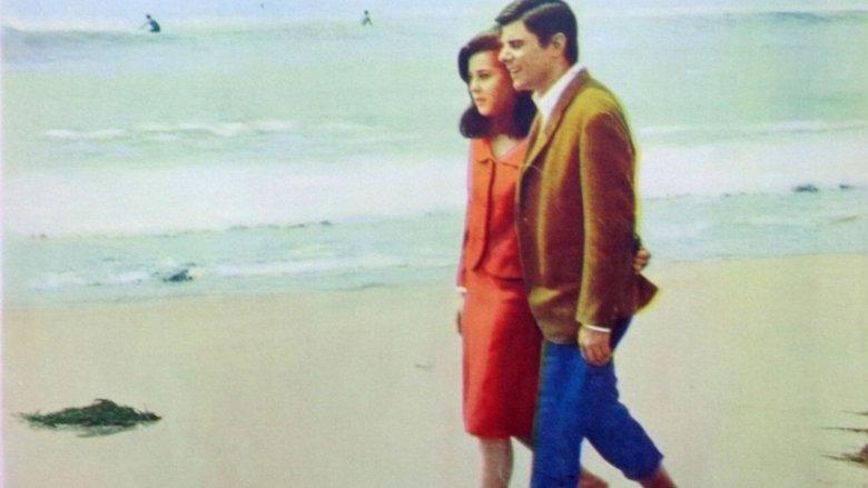 Wild on the Beach image