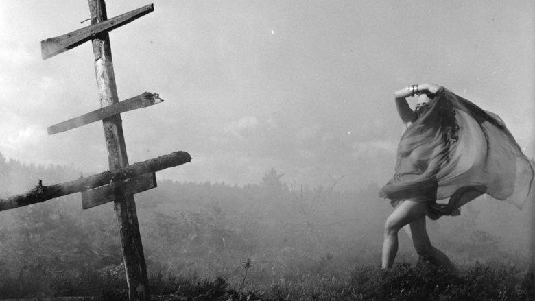 The Witch image