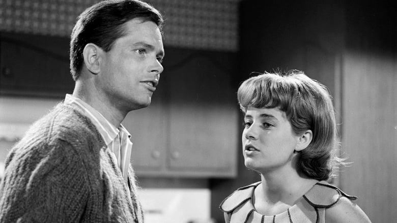 The Patty Duke Show image