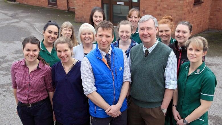 The Yorkshire Vet image