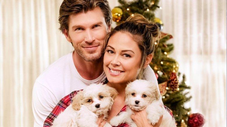 Christmas Unleashed image