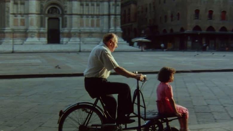 12 Directors for 12 Cities image
