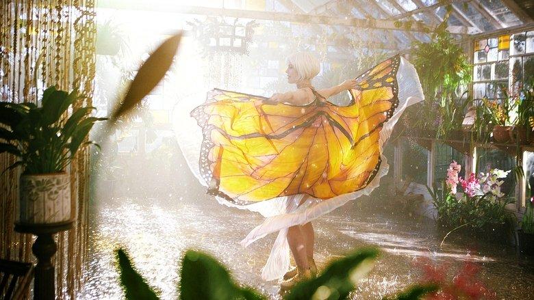 The Butterfly Tree image