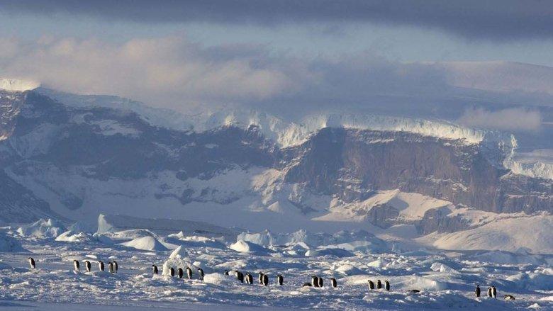 March of the Penguins 2: The Next Step image