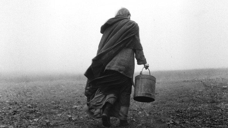 The Turin Horse image