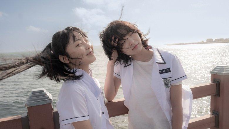 Soulmate image