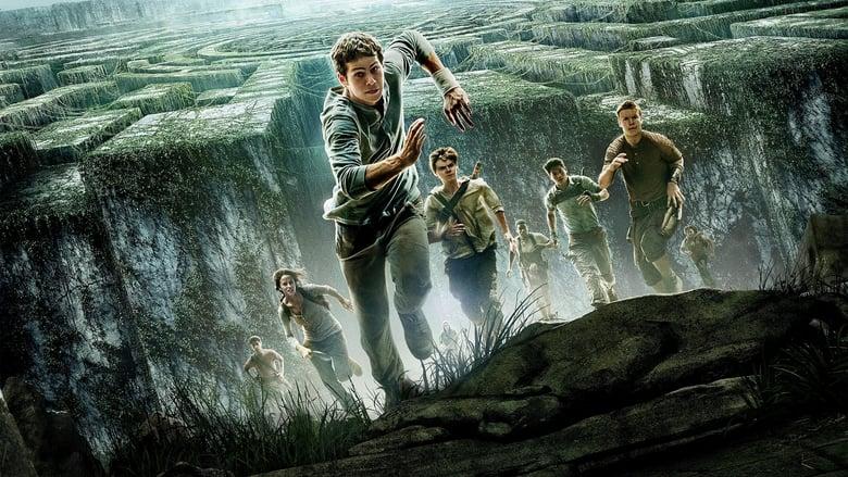 The Maze Runner image