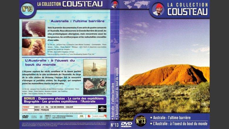 The Cousteau Collection N°7-2 | The Night of the Squid image
