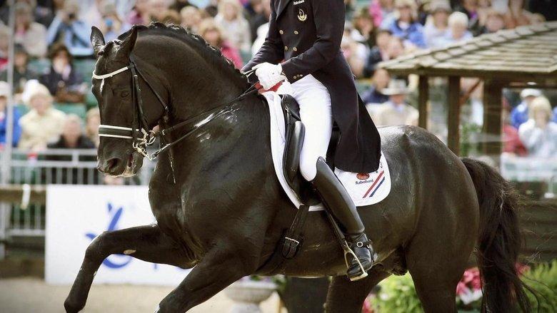 Totilas - The Million Dollar Business With The Horse of The Century image