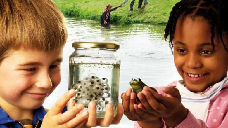 Frogs & Toads image
