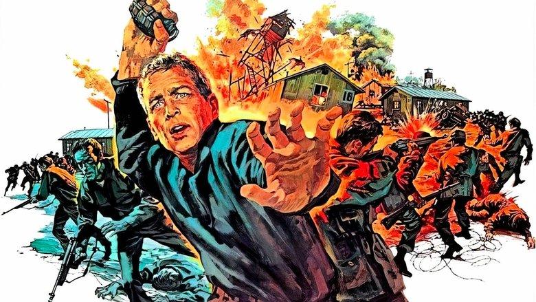 The Secret War of Harry Frigg image
