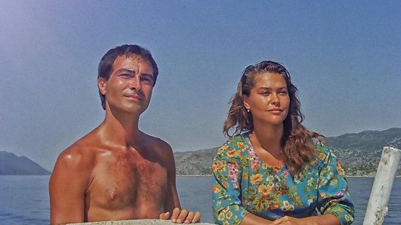 What's Fatmagül's Fault image