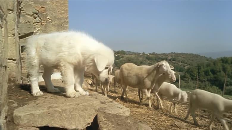 A Dog's Life image